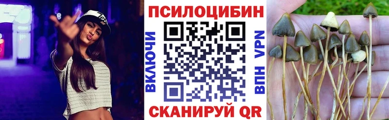 закладки  Боровичи  Псилоцибиновые грибы ЛСД 