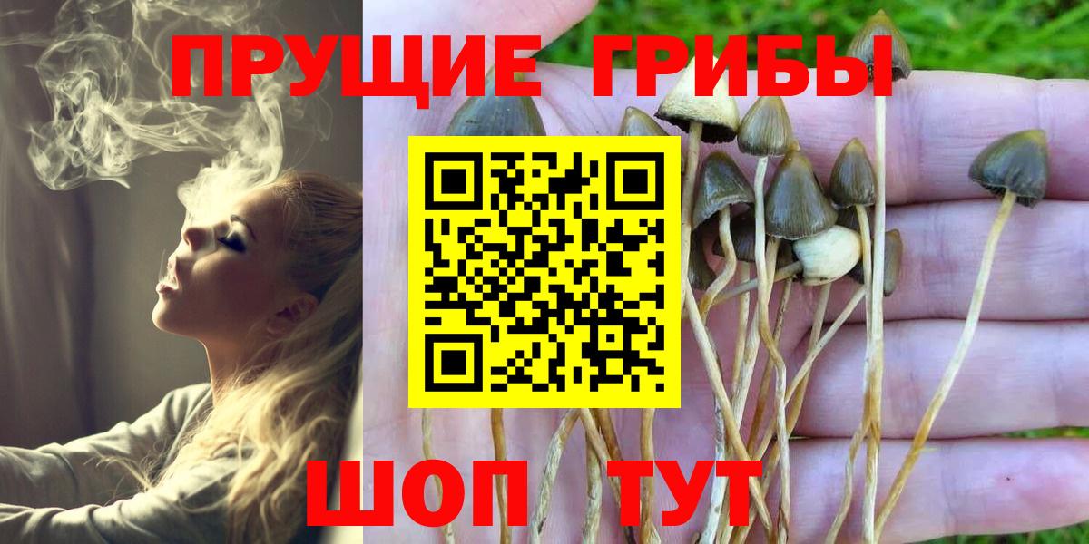 Боровичи  Вход с VPN  Марихуана  Купить наркотик  Гашиш  Меф МЯУ МЯУ   Экстази 