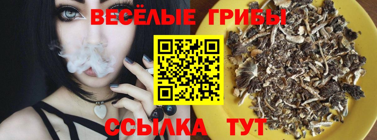 Галлюциногенные грибы мицелий Боровичи