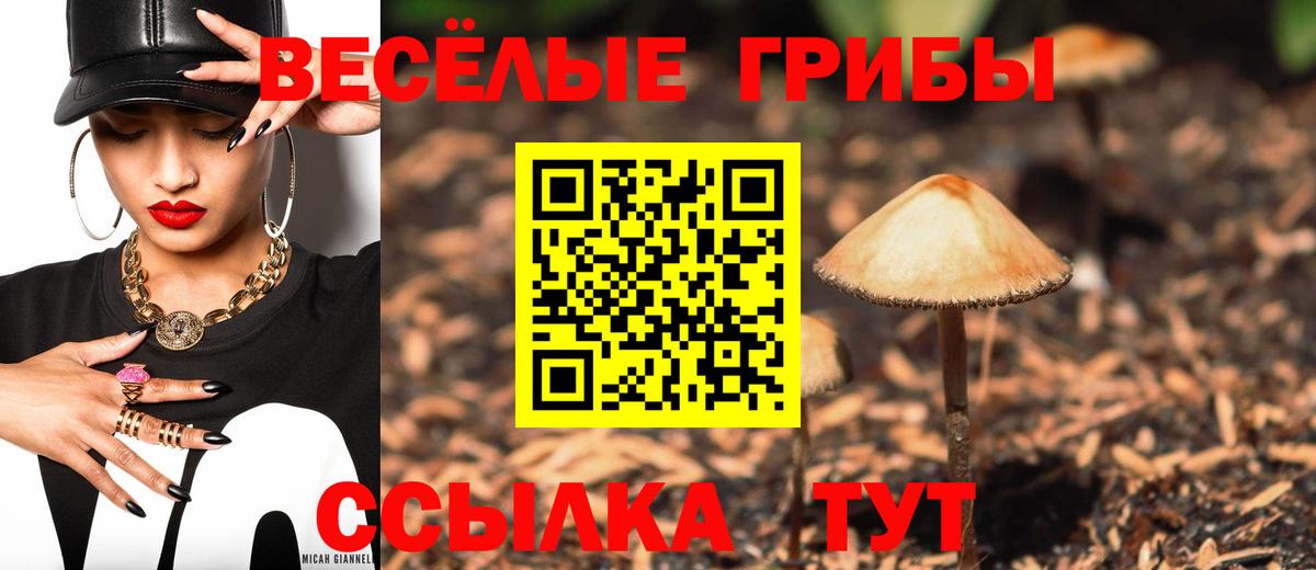 Псилоцибиновые грибы ЛСД  Псилоцибиновые грибы GOLDEN TEACHER  Боровичи  Вход с VPN 