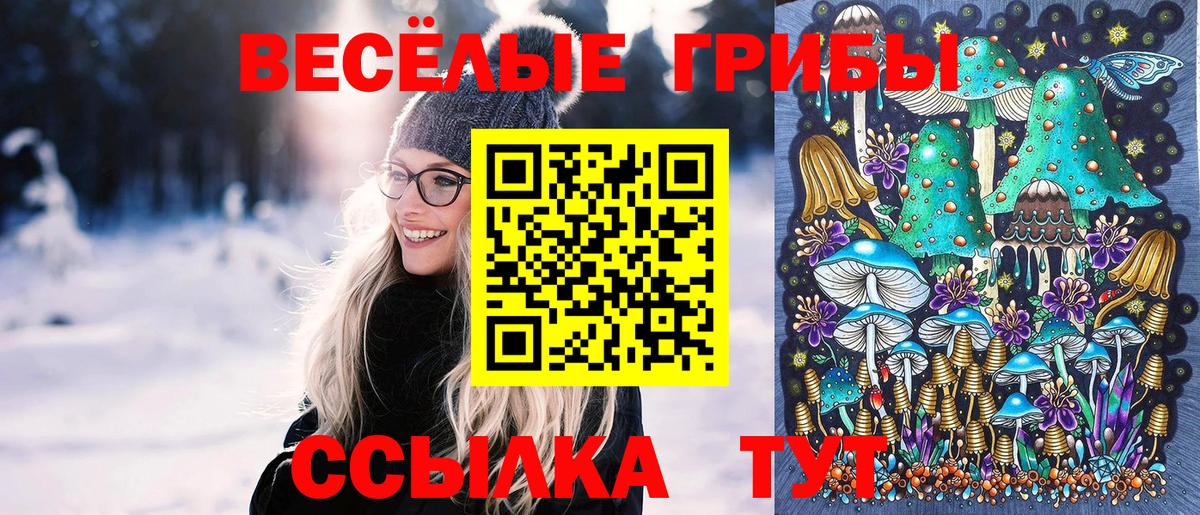 Псилоцибиновые грибы мицелий Боровичи