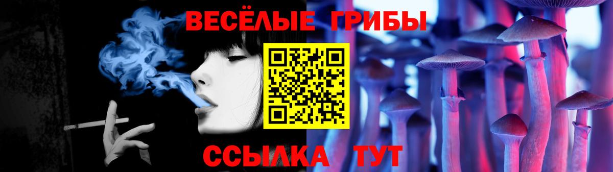 Галлюциногенные грибы мицелий  где продают   Боровичи 